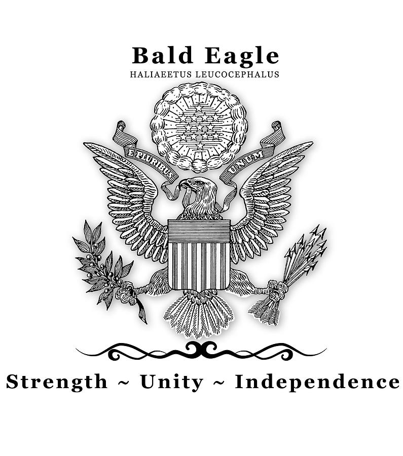 Bald Eagle National Symbol Digital Art by Lisa Redfern