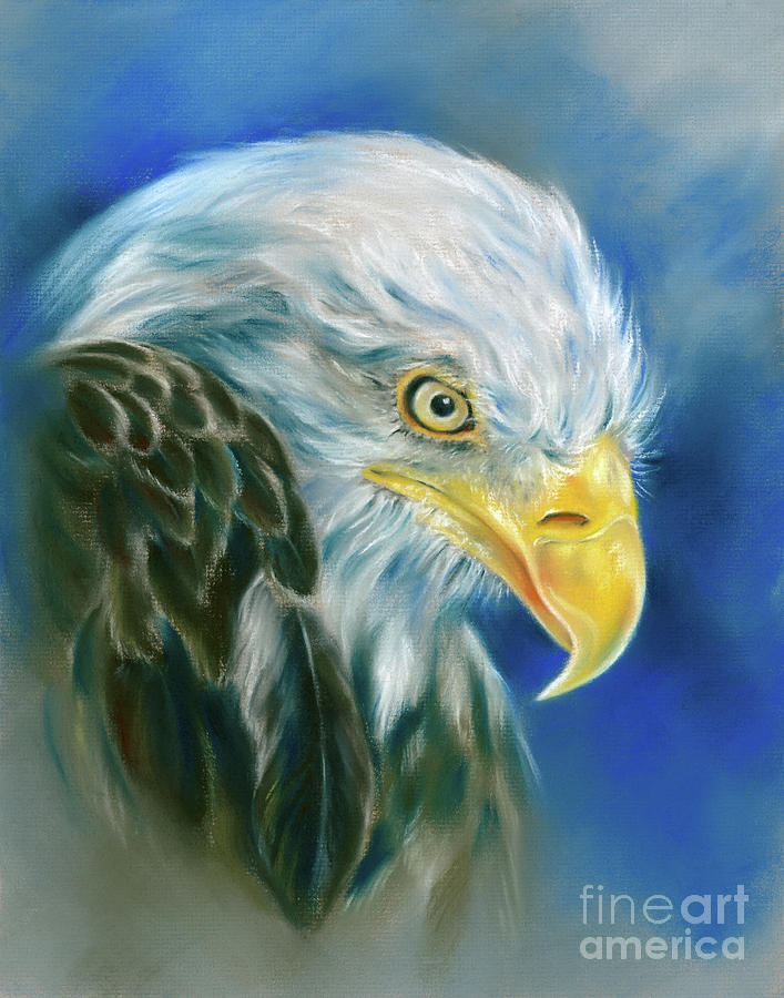 Bald Eagle on Blue Painting by MM Anderson