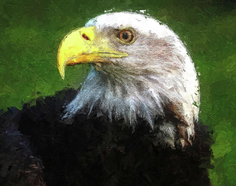 Bald Eagle Portrait Painting Painting by Dan Sproul