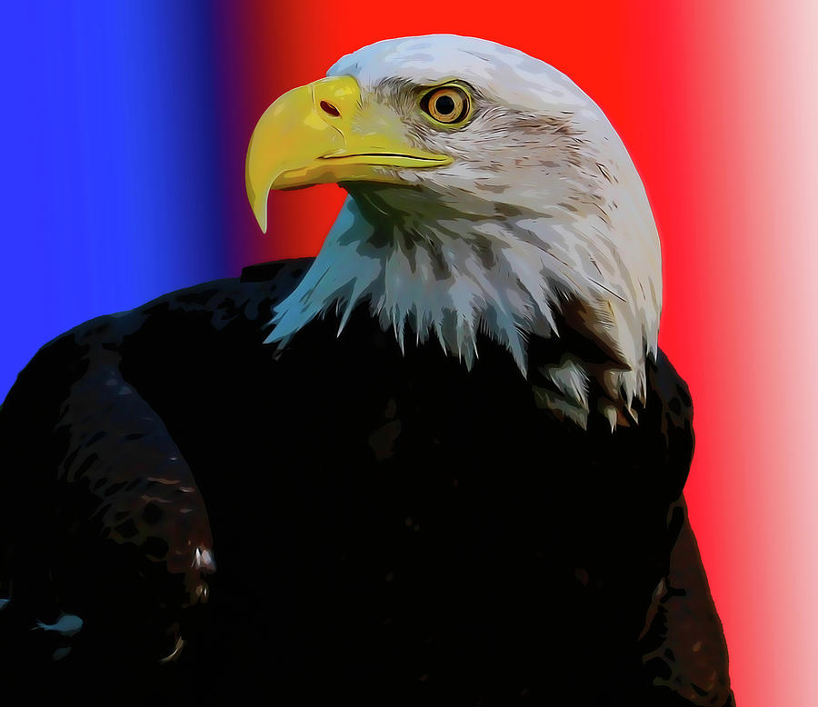 Bald Eagle Red White And Blue Digital Art by Dan Sproul