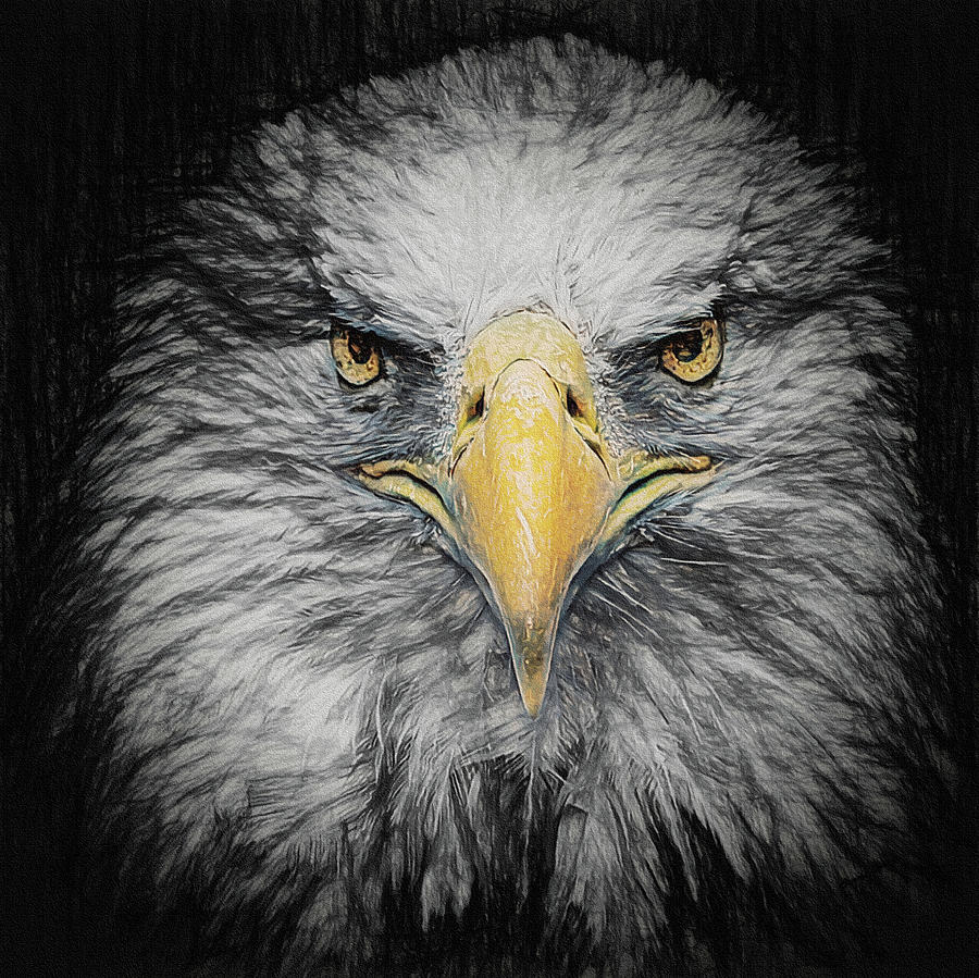 Bald eagle sandstone texture Digital Art by Ernest Echols