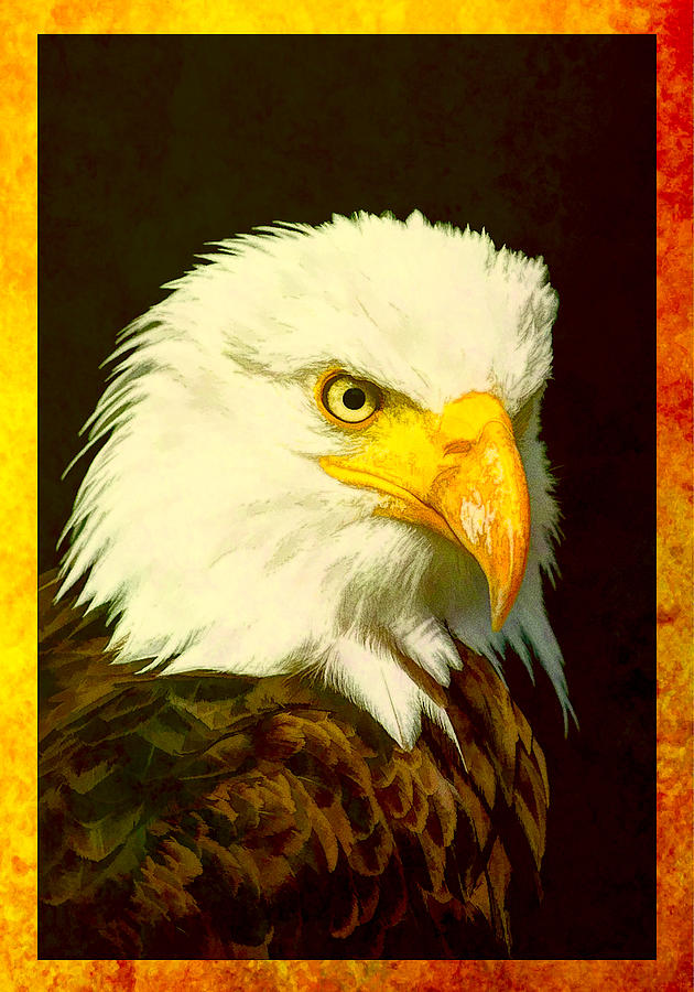 Bald Eagle Digital Art by Steven Parker