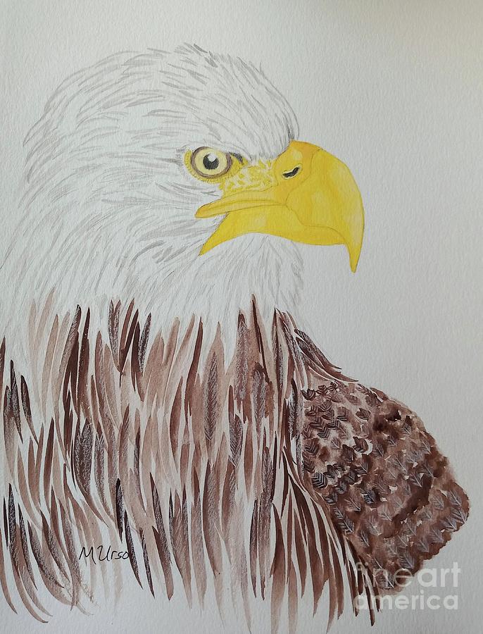 Bald Eagle Watercolor Painting by Maria Urso