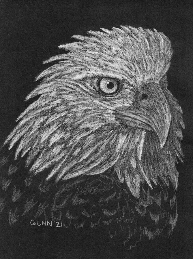 Bald Eagle white on black Drawing by Katrina Gunn