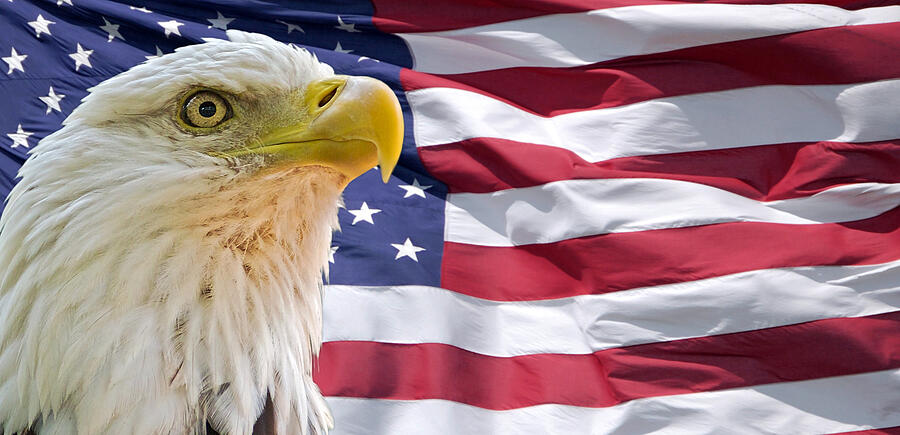 Bald Eagle With American Flag Print TV Digital Art by We The People Prints Bald Eagle With American Flag Print TV Digital Art by We The People Prints