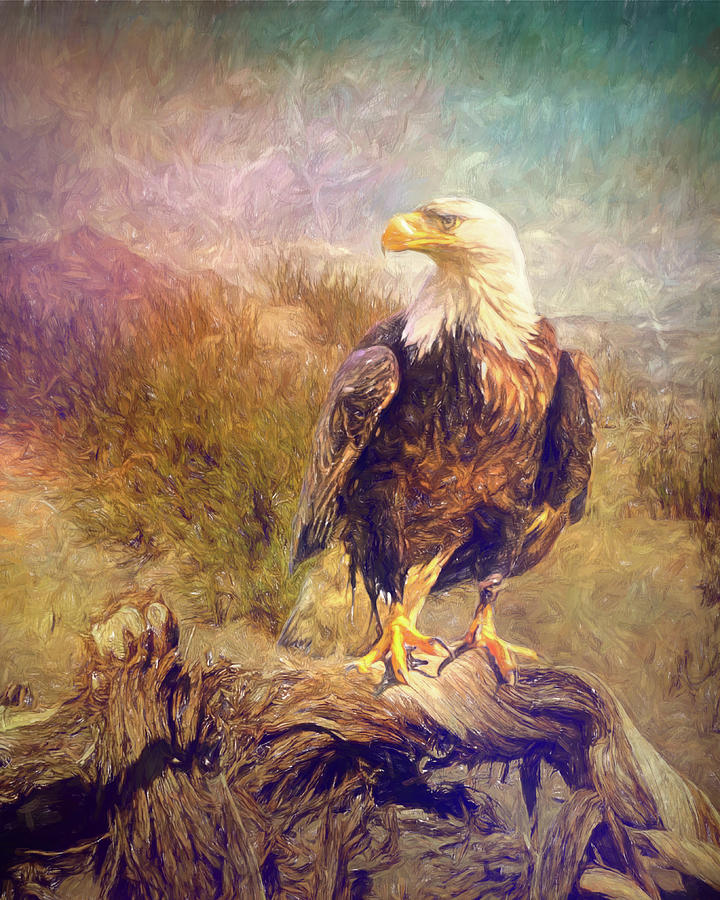 Bald Eagle with an abstract painterly effect Photograph by Sue Leonard