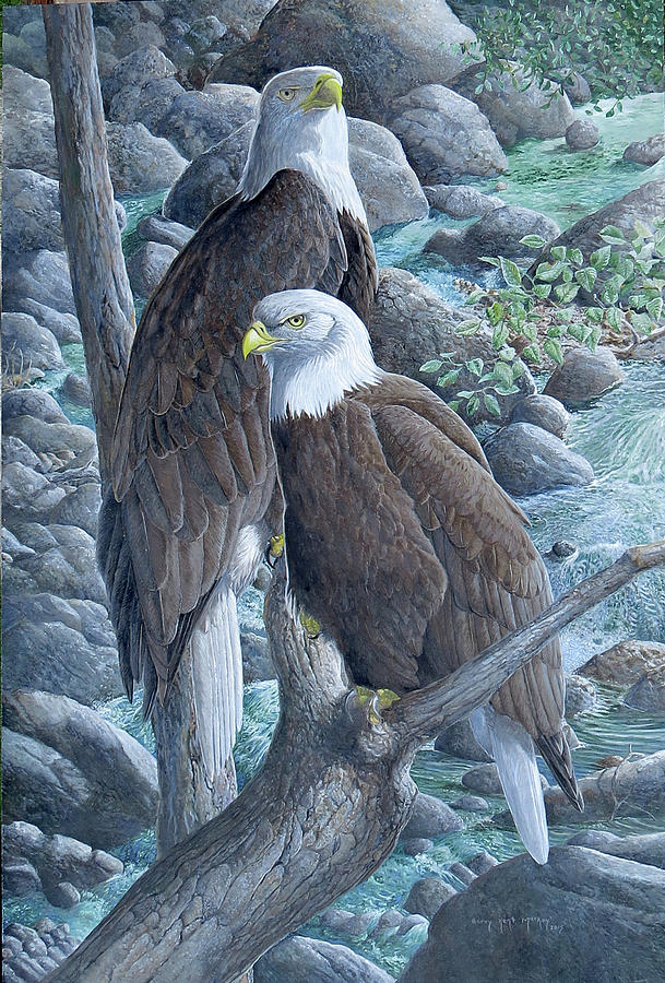 Bald Eagles Painting by Barry Kent MacKay