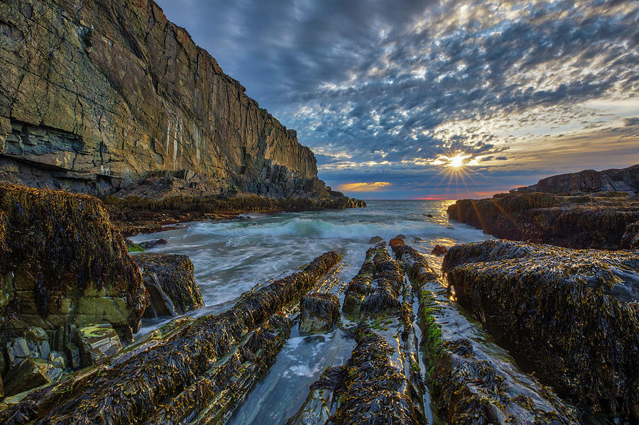 Bald Head Cliff  Photograph by Juergen Roth