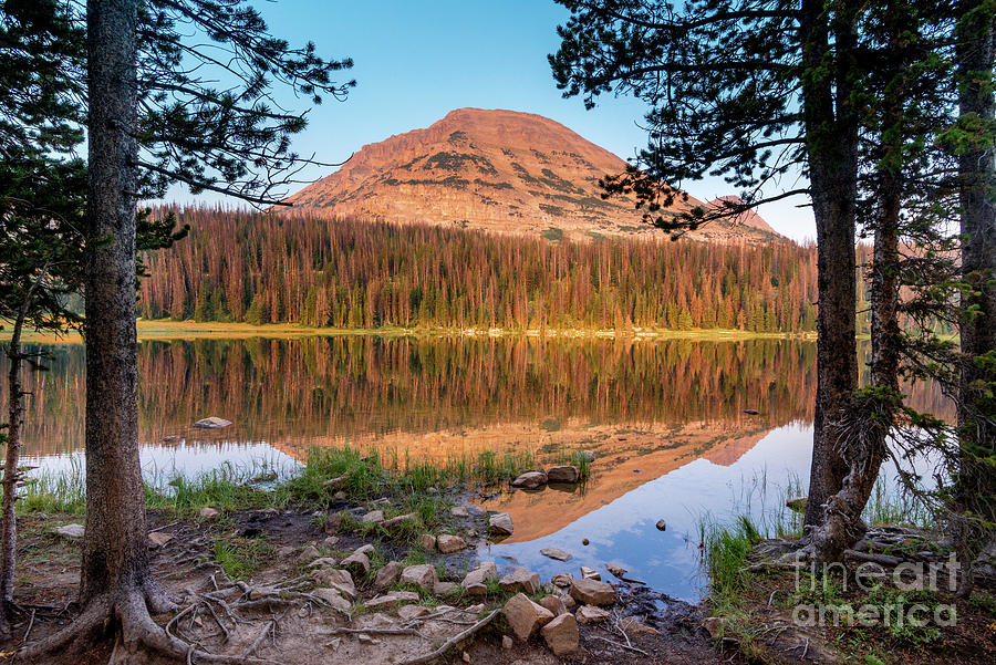 Bald Mountain Reflected in Mirror Lake - Uinta Mountains - Utah Photograph by Gary Whitton