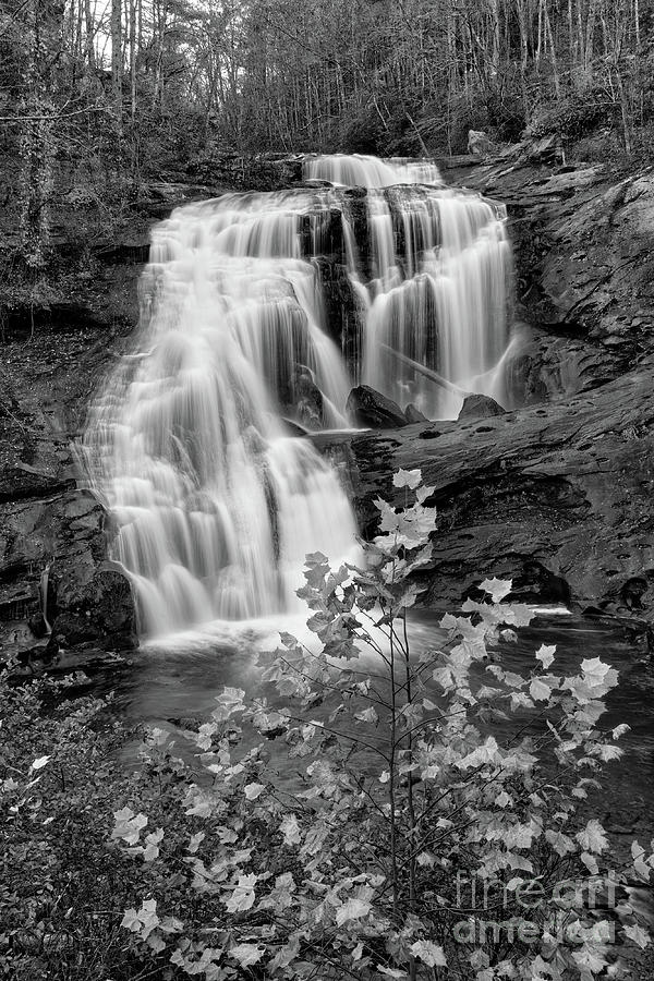 Waterfall Photograph - Bald River Falls 36 by Phil Perkins