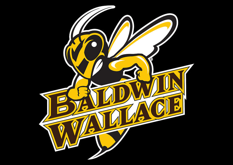 Baldwin Wallace University yellowjackets Digital Art by Baldwin Wallace