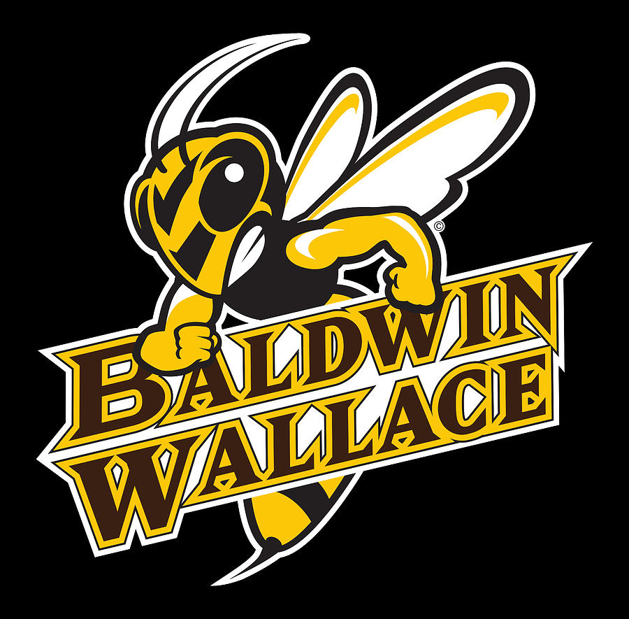 Baldwin Wallace University yellowjackets Digital Art by Bush Benis