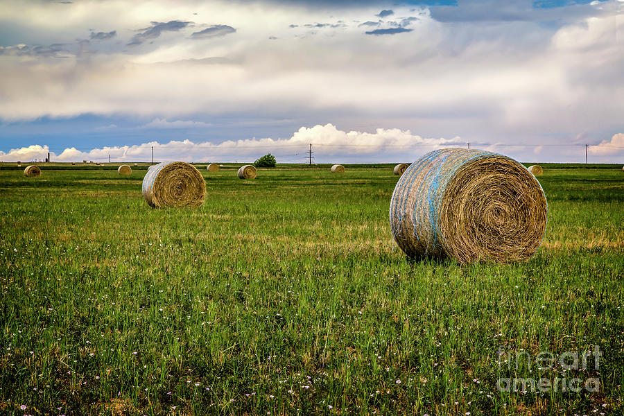 Bale and Hay Photograph by Jon Burch Photography