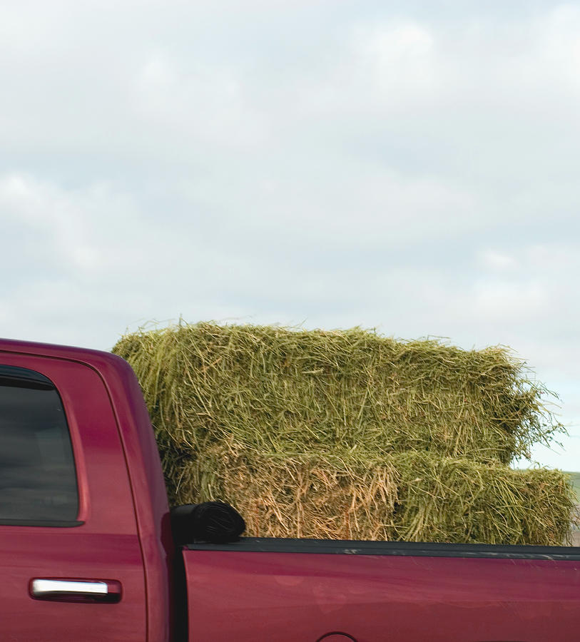 Bale of hay in red pick up truck Photograph by Lyn Holly Coorg