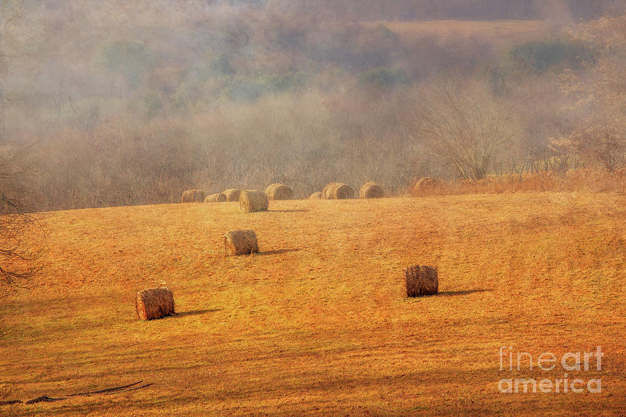 Fall Digital Art - Baled Hay in Farm Field by Randy Steele