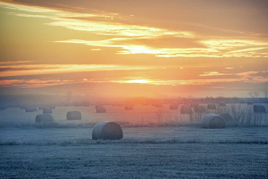 Bales in the Mist Photograph by Todd Klassy