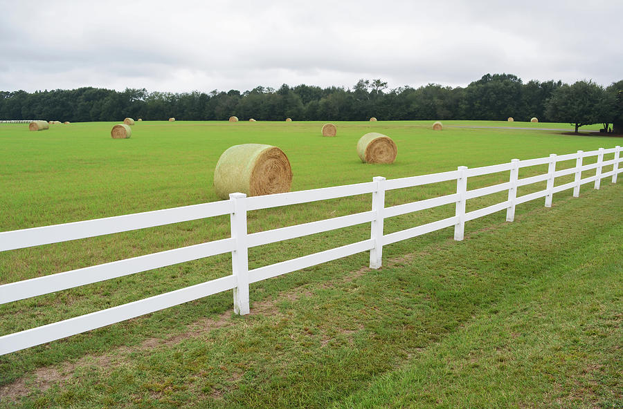 Bales Of Hay With White Fence Photograph