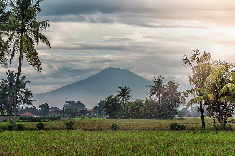 Nature Photograph - Bali Landscape by Manjik Pictures