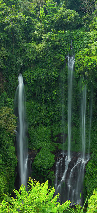 Bali waterfall Photograph by Kadek Susanto