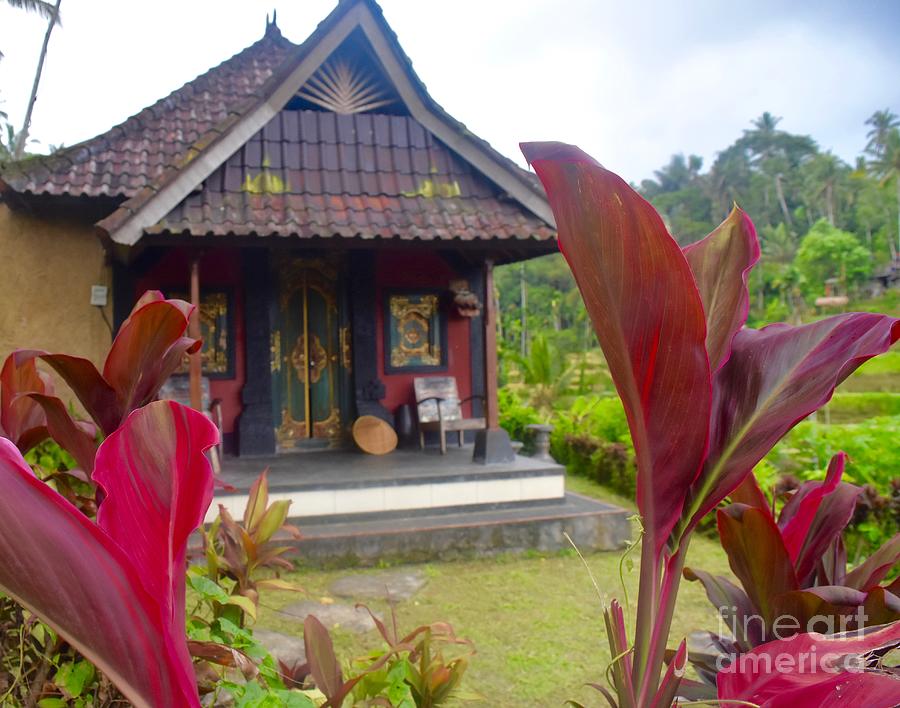 Balinese House Photograph by Dorota Nowak
