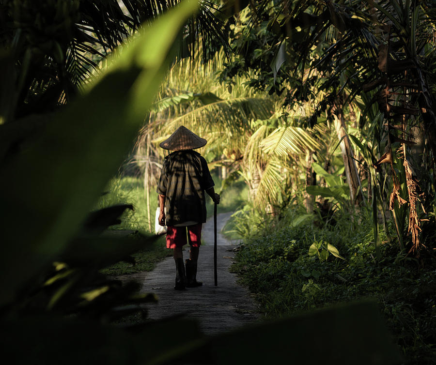 Balinese Rice Farmer Photograph by Tyler Rooke
