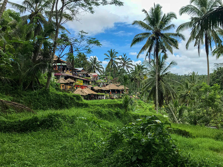 Balinese Village on a Hill Photograph by Christine Ley