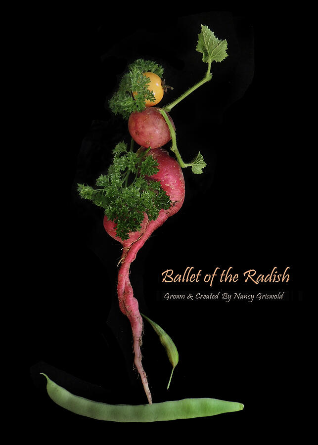 Vegetable Photograph - Ballet Of The Radish Vegetable Art by Nancy Griswold