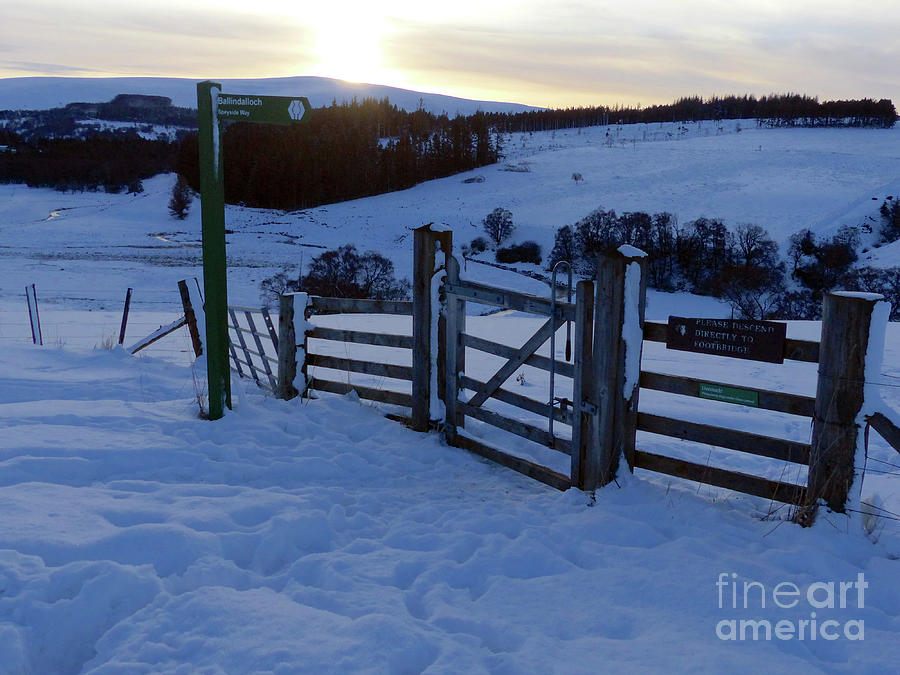 Ballindalloch - Speyside Way Spur at Conglass Water Photograph by Phil Banks