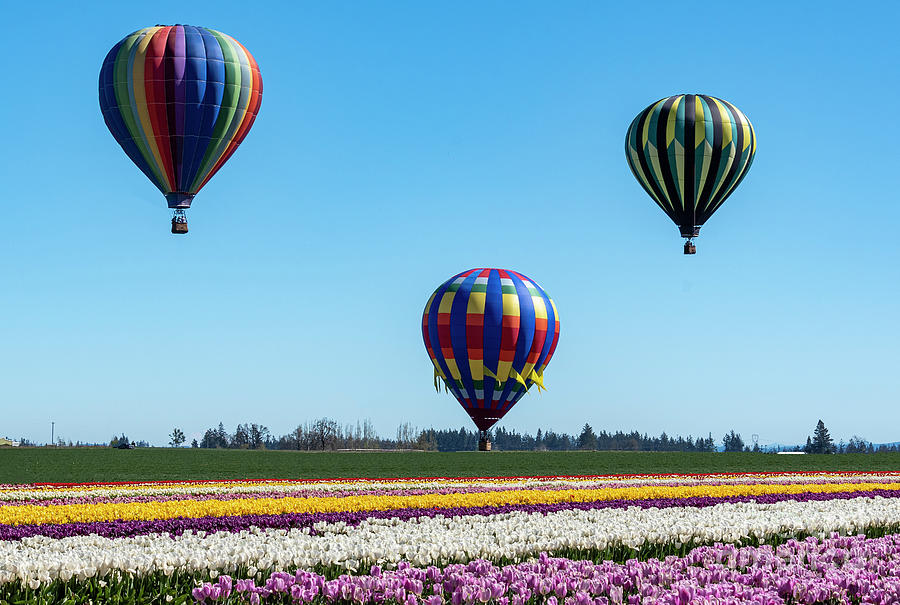 Balloon Flight Fantasy Photograph by Louise Magno