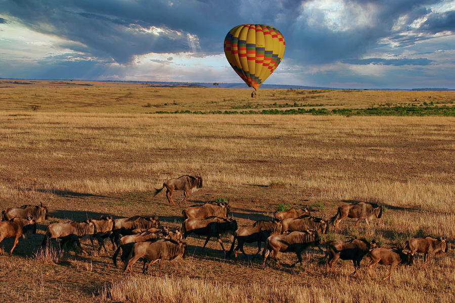 Balloon Over The Great Migration Photograph by Gene Taylor