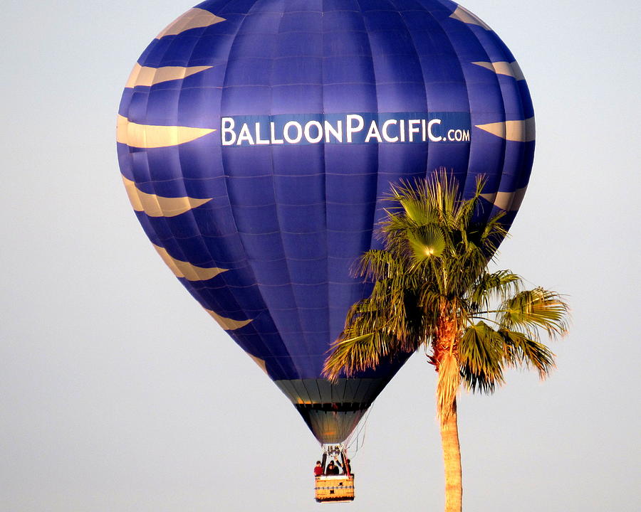 Balloon Pacific Hot Air Balloon 2 Photograph By Adrienne Wilson Fine Art America