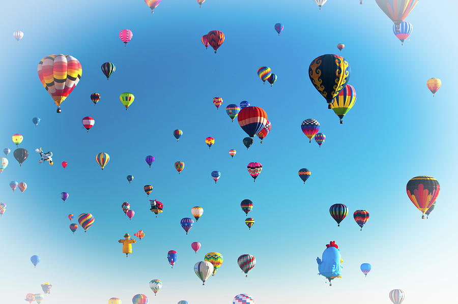 Balloons Aloft Photograph by Tara Krauss