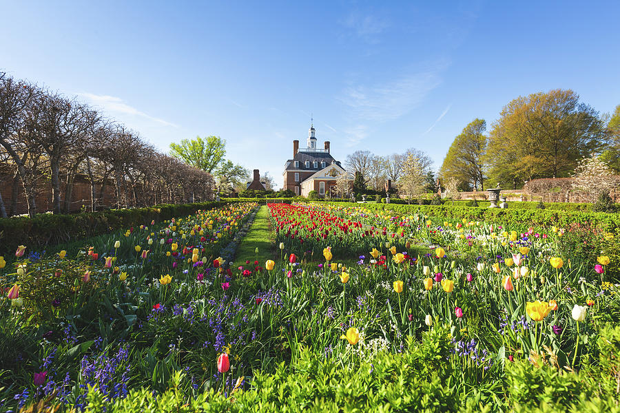 Ballroom Garden and the Palace in the Spring Photograph by Rachel Morrison