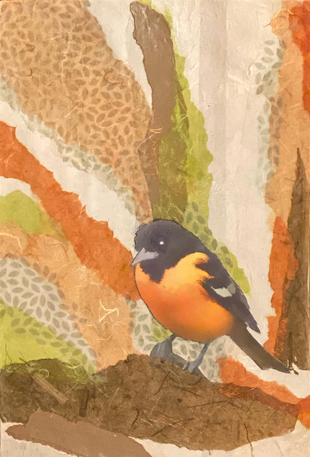 Balltimore Oriole Collage Mixed Media by Jessica Levant