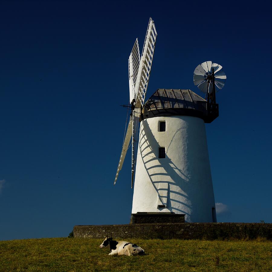 Ballycopeland Windmill  Photograph by Neil R Finlay