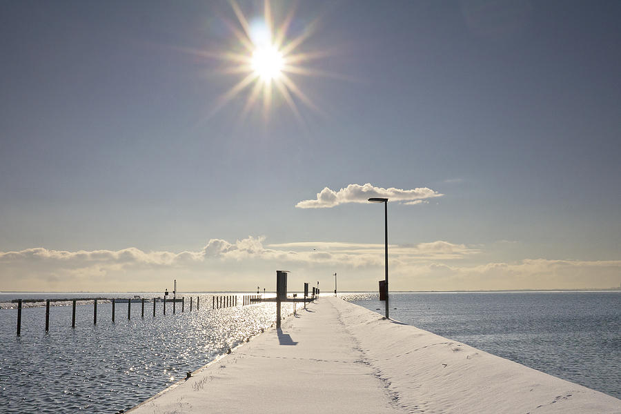 Baltic Winter Sun Photograph by Bernd Schunack