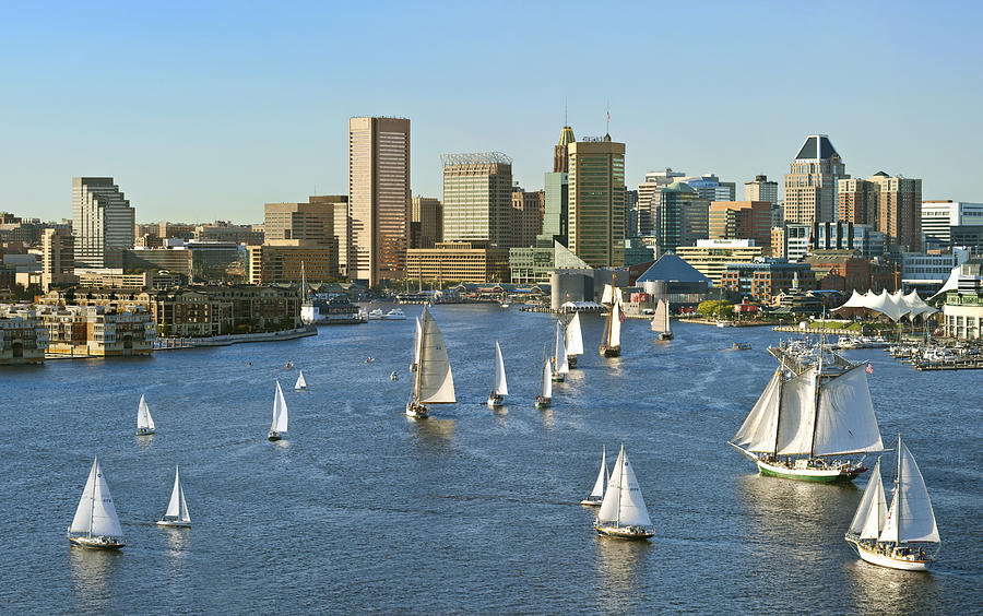 Baltimore City Skyline with The Parade of Sail Photograph by Greg Pease