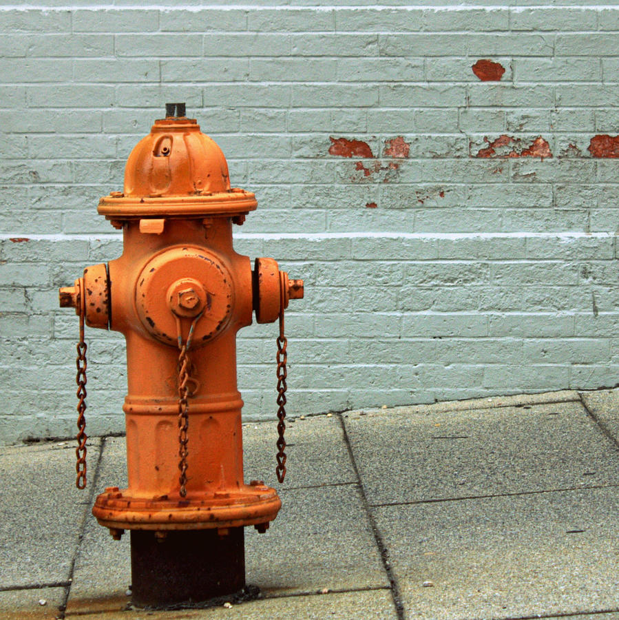 Baltimore Fire Hydrant Photograph by Joseph Skompski