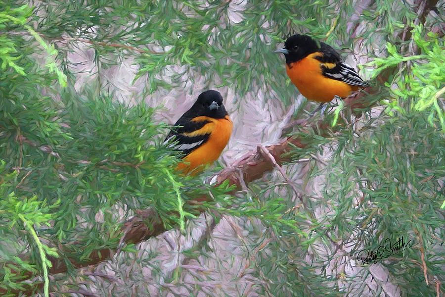 Baltimore Orioles Framed Print by Baltimore Orioles - Fine Art America