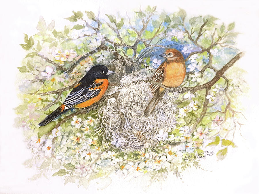 Baltimore Orioles at Nesting Time  Painting by Lois Mountz