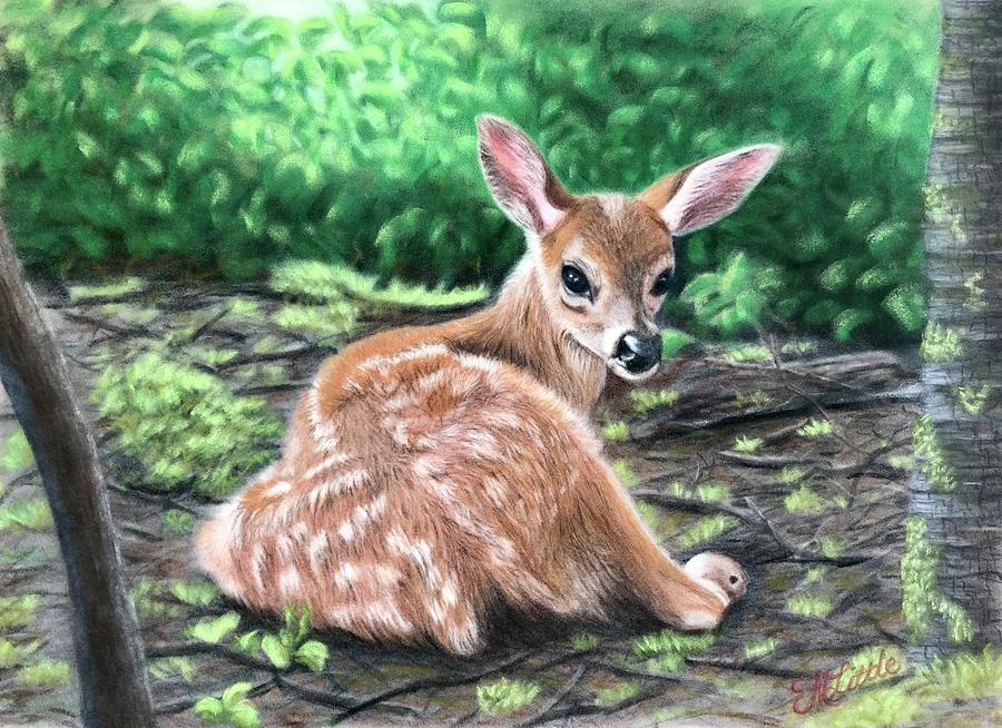 Bambi? Pastel by Marlene Little