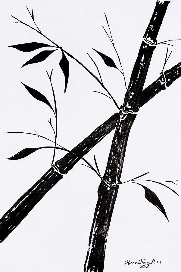 Bamboo 3 Drawing by Micah Guenther