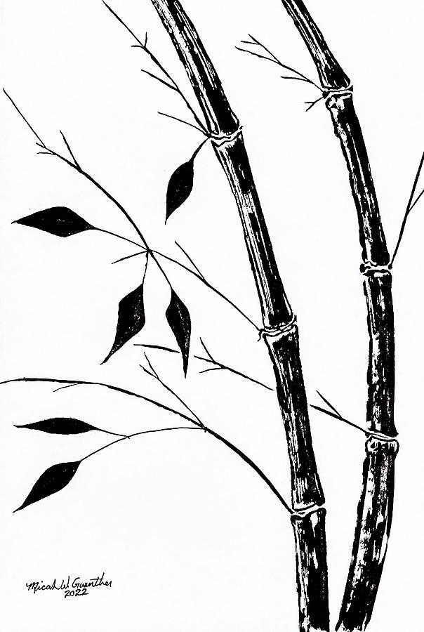 Bamboo 5 Drawing by Micah Guenther