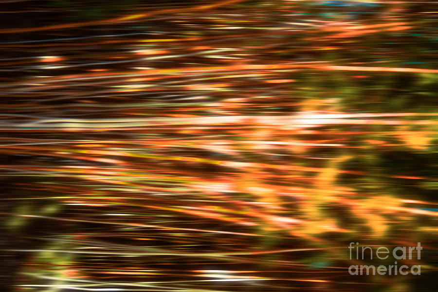 Bamboo Abstract Horizontal Colors # 1 Photograph by Mel Steinhauer