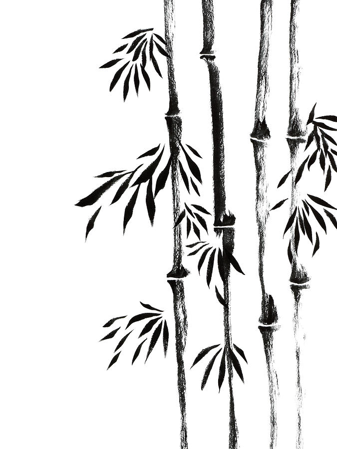 Bamboo And Leaves Drawing By Monochrome Arts By Marino - Fine Art America