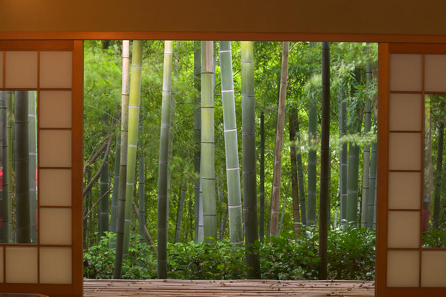 Bamboo as viewed through tea house windows, Kyoto, Honshu, Japan Photograph by Art Wolfe