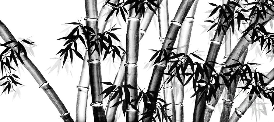 Bamboo Chinese Art - one - bw - no cally Painting by Birgit Moldenhauer ...
