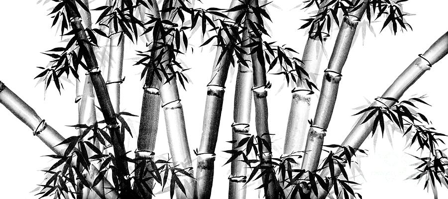 Bamboo Chinese Art - two - bw - no cally Painting by Birgit Moldenhauer ...