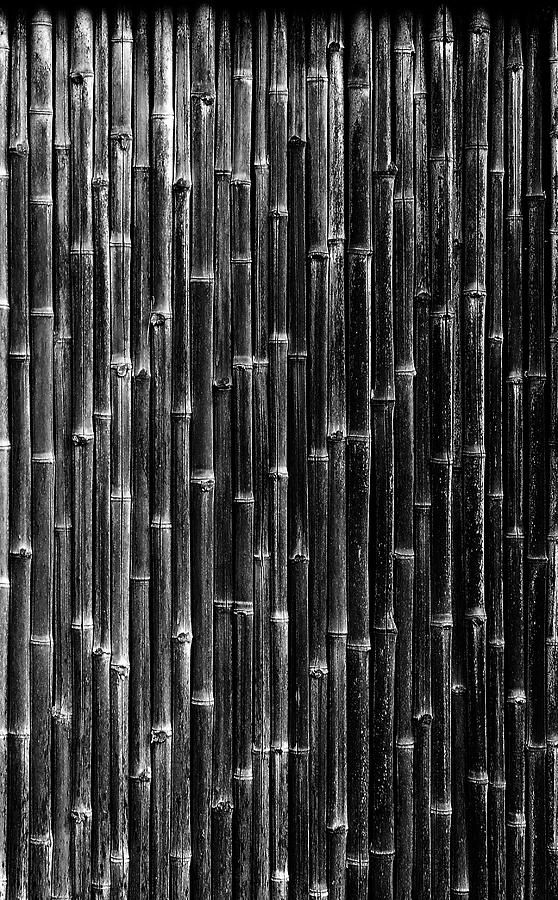 Bamboo Door Photograph by Viktor Savchenko