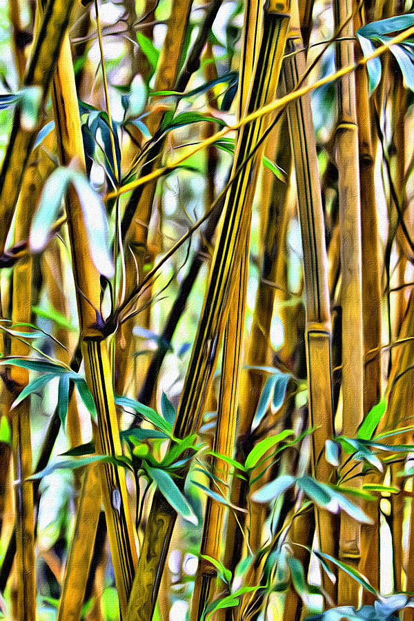 Bamboo Everywhere Too Photograph by Alice Gipson